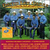 Mis Mejores Canciones: 17 Super Exitos von David Lee Garza
