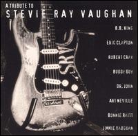 Tribute to Stevie Ray Vaughan von Various Artists