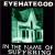 In the Name of Suffering von Eyehategod