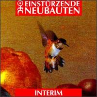 Interim von Einstürzende Neubauten