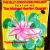 Lotus Blossom von Billy Strayhorn