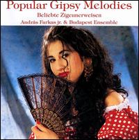 Popular Gypsy Melodies von Andras Farkas, Jr.