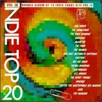 Indie Top 20, Vol. 9 von Various Artists