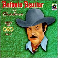 Al Ritmo de Mike Laure von Mike Laure