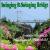 Swinging on the Swinging Bridge von Smith/Fairchild