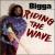 Riding the Wave von Bigga