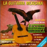 Guitarra Mexicana von Antonio Bribiesca