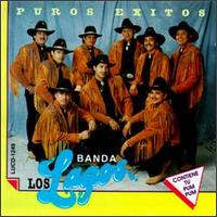 Puros Exitos von Banda los Lagos