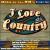 I Love Country: Hits of the '90s von Various Artists