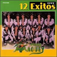 12 Exitos von Banda Maguey