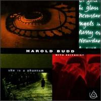 She Is a Phantom von Harold Budd