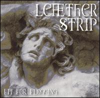 Fit for Flogging von Leæther Strip