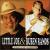 Two of a Kind von Little Joe y la Familia Borrachera