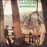 Sowiesoso von Cluster