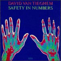 Safety in Numbers von David Van Tieghem