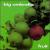 Fruit von Big Umbrella