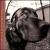 Dog Eared Dream von Willy Porter