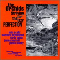 Striving for the Lazy Perfection von The Orchids