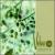 Songs from the Rainwater E.P. von Velour 100