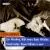 Bedtime Story von Waxing Poetics