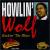 Rockin' the Blues von Howlin' Wolf