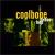 Brass-Hop von Coolbone Brass Band