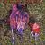 Horse That Bud Bought von Galactic Cowboys