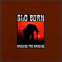 Amusing the Amazing von Slo Burn