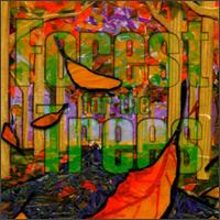 Forest for the Trees von Forest for the Trees