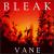 Vane von Bleak