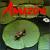 Amazon von Alan Williams