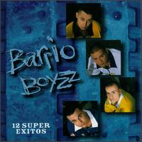 12 Super Exitos von The Barrio Boyzz