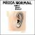 Who Shot Elvis? von Mecca Normal