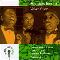 Southern Journey, Vol. 8: Velvet Voices von Various Artists
