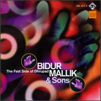 Fast Side of Dhrupad von Bidur Mallik