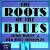 Roots of the Blues von Big Bill Broonzy
