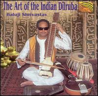 Art of the Indian Dilruba von Baluji Shrivastav