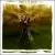 Star of Hope von Melodie
