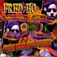 Turn Pain into Power von Fred Ho