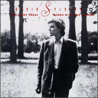 Brilliant Trees/Words with the Shaman von David Sylvian