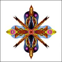 Concision von Anthony Manning