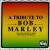 Tribute to Bob Marley von Bub Roberts