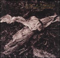 Plight and Premonition von David Sylvian