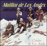 Condor de los Andes von Mallku De Los Andes