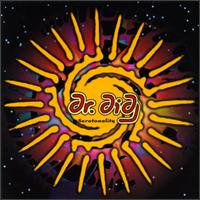 Serotonality von Dr. Didg