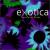 Exotica: World Music Divas von Various Artists
