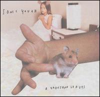 Thousand Leaves von Sonic Youth
