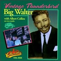 Vintage Thunderbird von Big Walter