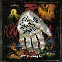 Under the Wishing Tree von Charlie Sexton