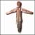 Pie Jesu von Robert Fripp